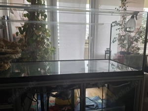 Aquarium Raumteiler weißglas 160x60x50
