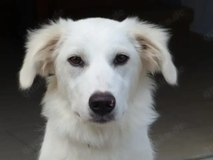 Baba sucht ihr Zuhause