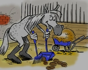 Offenstall hat Platz frei