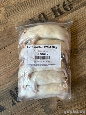 Frostfutter Frostratten  Bild 2