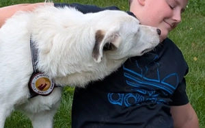 Wer schenkt Tapio ein Zuhause? Bild 2