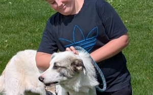 Wer schenkt Tapio ein Zuhause? Bild 3