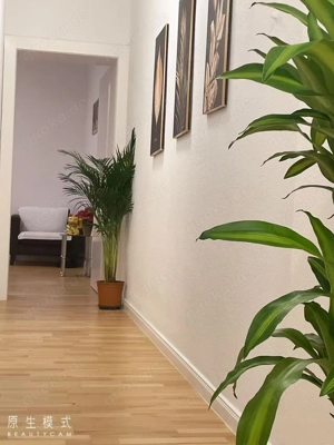 Hong Xin Tuina Massage in Köln Bild 4