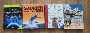 Verschiedene Kinderbücher Dinosaurier, Star Wars, Mine Craft etc.