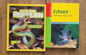 Verschiedene Kinderbücher Dinosaurier, Star Wars, Mine Craft etc. Bild 3