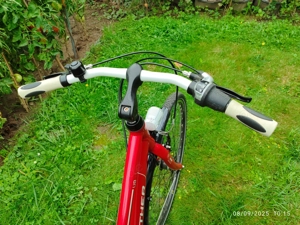 Frauen "Panther" Rot 28 Zoll Raden, Urban Model von hand gefertig, Angebot 70% Bild 5