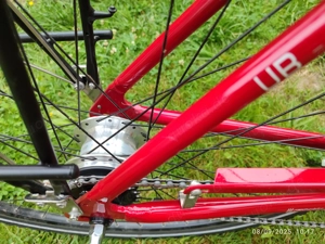 Frauen "Panther" Rot 28 Zoll Raden, Urban Model von hand gefertig, Angebot 70% Bild 9