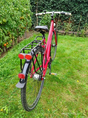 Frauen "Panther" Rot 28 Zoll Raden, Urban Model von hand gefertig, Angebot 70% Bild 10