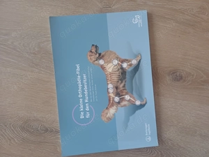 Diverse Fachbücher Hundephysiotherapie
