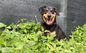 Neuanfang für Miss Elly gesucht Bild 5