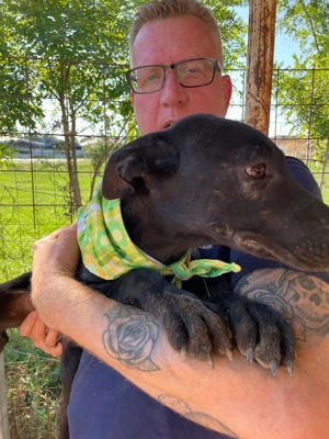 Viktoria , z. Zt. in Ungarn, ist ein typischer Welpe.  Bild 10