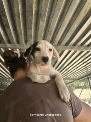 Kleine Miranda sucht ihr großes Glück  Bild 2