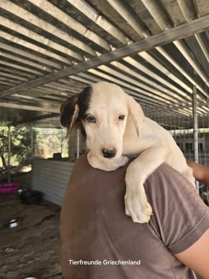 Kleine Miranda sucht ihr großes Glück  Bild 5