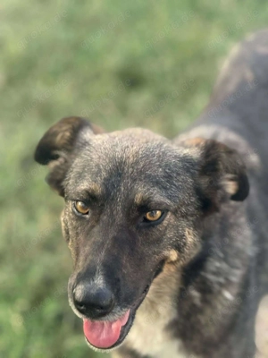 Zauberhafte Veia  Bild 10