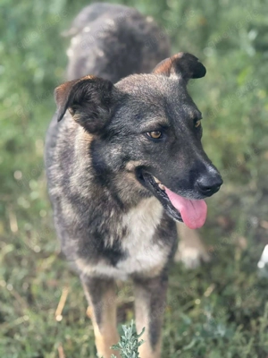 Zauberhafte Veia  Bild 8