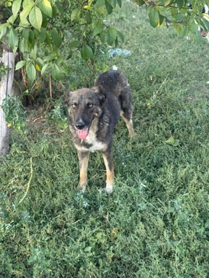 Zauberhafte Veia  Bild 9