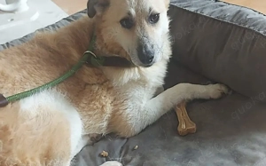 Zeigst du Thanos ein schönes Leben?