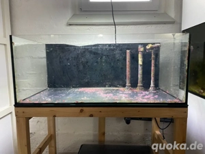 Korallen Ablegerbecken 200L