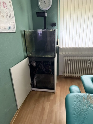 Red Sea  Reefer 250XL