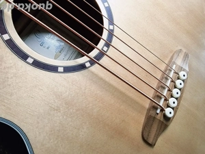 Ortega 5-Saiter Akustikbass Bild 7