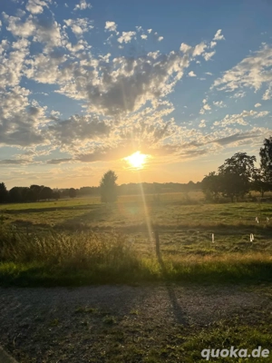 Entrümpelung & Gartenpflege Uvm   Schnelle, kräftige Hilfe