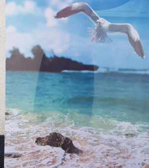 Stoffbanner  Meer, Strand,   aus Fahnenstoff 2000 cm x 1000 cm schwer enflammbar