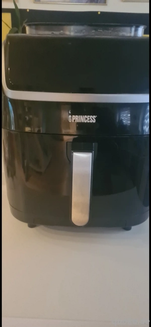 Princess Dampfgarer und Heißluftfritteuse 2in1 Dampfgarer und Airfryer 2-in-1-Dampfgarer und Heißluf