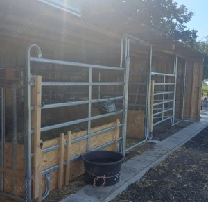 Pferdebox  Offenstall  Paddockbox