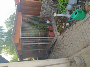 Neuer Hundezwinger zu verkaufen 