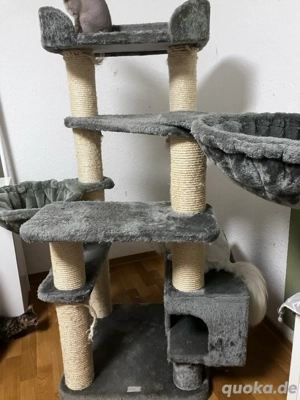 Kratzbaum XL zu verschenken