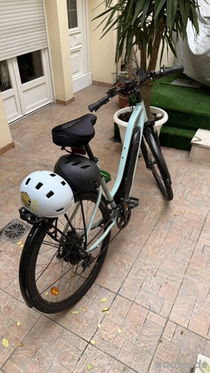 Riverside 100E Elektrofahrrad