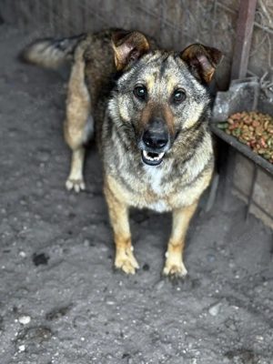 Viccy ca. 47 cm   die Aufgeschlossene