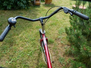 City- Herren Fahrrad -26er