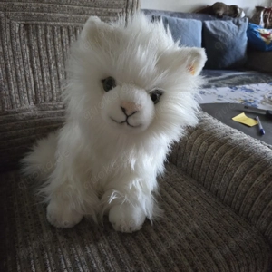 Verkaufe Katze Alpina  42 von Steiff