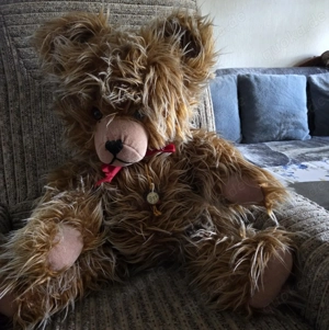 Verkaufe Teddy von Herrmann