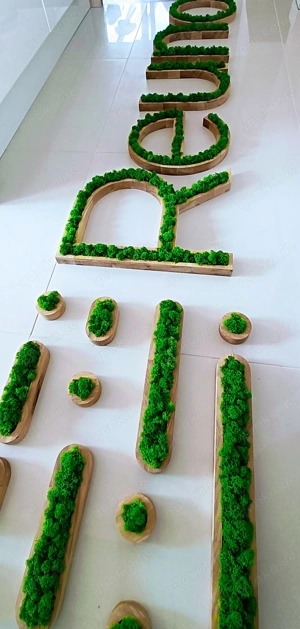 Eichenbuchstaben-Logo + Moos   einzigartiges, natürliches Design! Bild 4