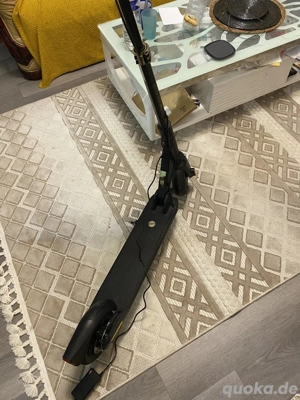 Elektroroller für Erwachsene