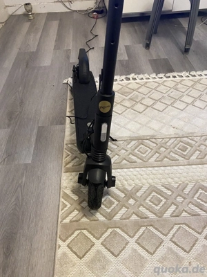 Elektroroller für Erwachsene