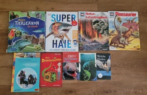 Verschiedene Kinderbücher, Dinosaurier, Haie, Tierlexikon etc.