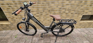 E-Bikes Fafrees Modell F 26 PRO
