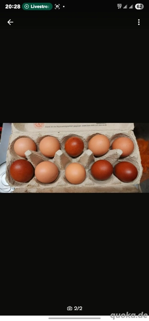 Frische Hühnereier aus Freilandhaltung 