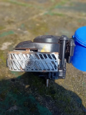 Rasenmäher Motor 5,5 Ps