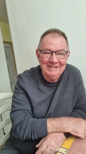  Suche nach einer einfachen Frau ohne Hunde oder Katzen für Zweisamkeit