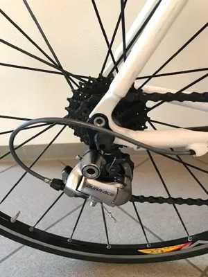 Rennrad Technium Shimano Dura Race Edition Bild 6