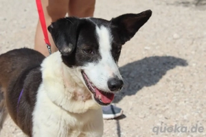 Cantalar- ihr Lied nach Freiheit möge bald im Zuhause ertönen