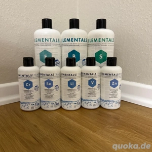 Fauna Marin Elementals   hochwertige Reef-Elemente einzeln abzugeben (NEU EINGETROFFEN - 16.06.2025)