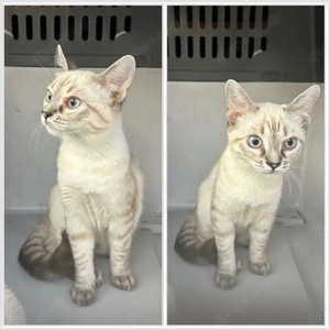 MIRA + MARLENE- süß, verspielt, verschmust 