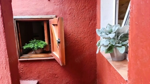 Ferienvermietung Ruhiges kanarisches Landhaus auf Teneriffa Nord