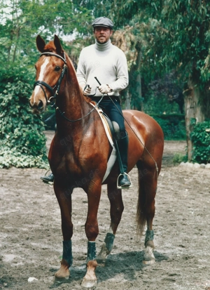 Reitunterricht (mobil) rund um Bad Soden am Taunus Bild 5