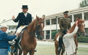 Reitunterricht (mobil) rund um Bad Soden am Taunus Bild 4